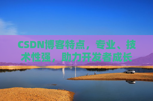 CSDN博客特点，专业、技术性强，助力开发者成长