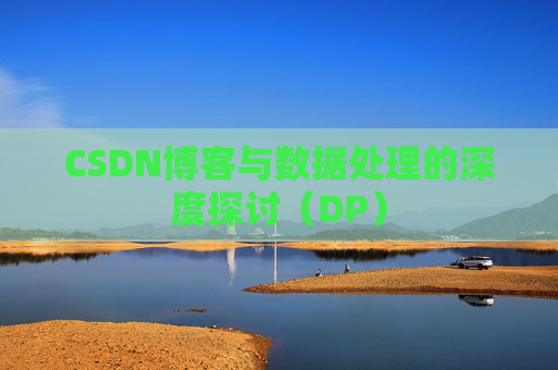 CSDN博客与数据处理的深度探讨（DP）