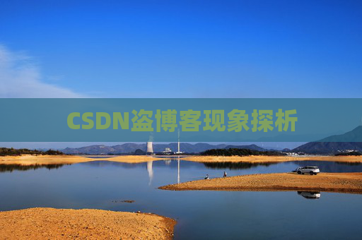 CSDN盗博客现象探析